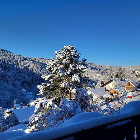 Grosse Ferienwohnung In Ruhiger Lage Mit Toller Aussicht In Triberg Triberg im Schwarzwald Zewnętrze zdjęcie