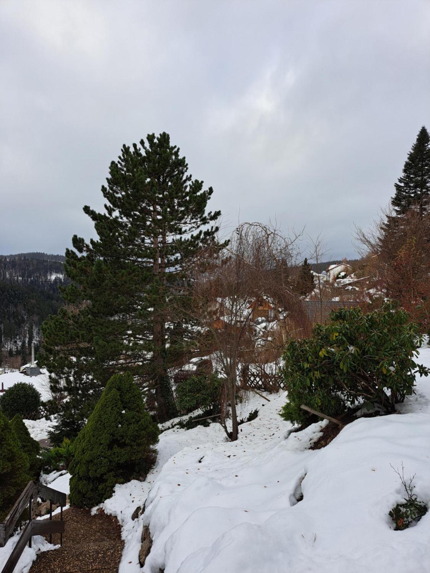 Grosse Ferienwohnung In Ruhiger Lage Mit Toller Aussicht In Triberg Triberg im Schwarzwald Zewnętrze zdjęcie
