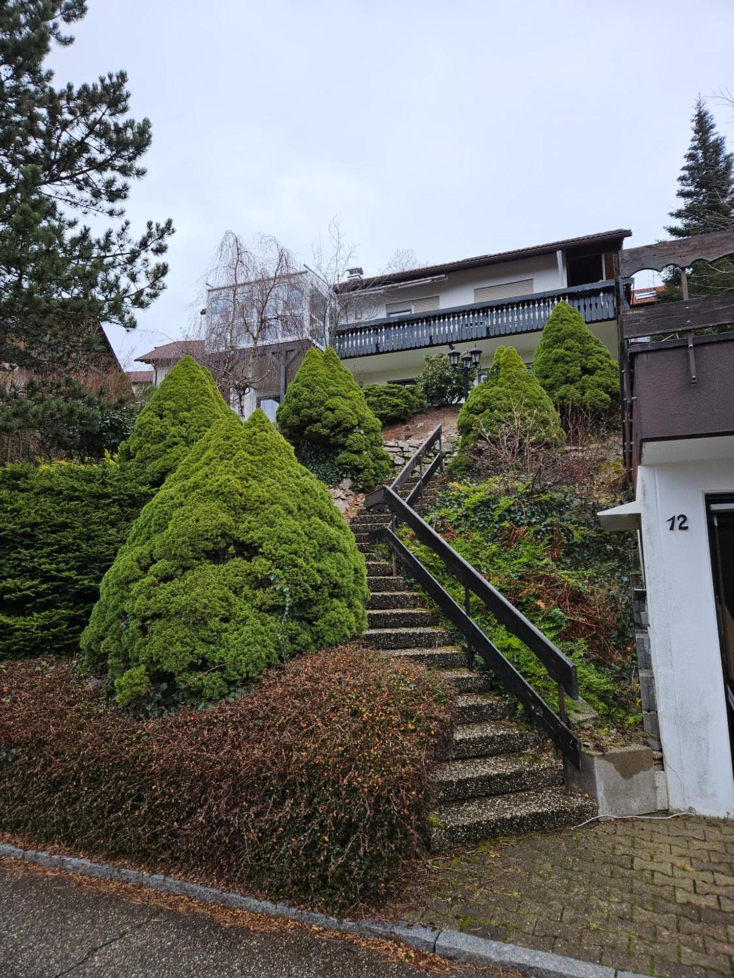 Grosse Ferienwohnung In Ruhiger Lage Mit Toller Aussicht In Triberg Triberg im Schwarzwald Zewnętrze zdjęcie