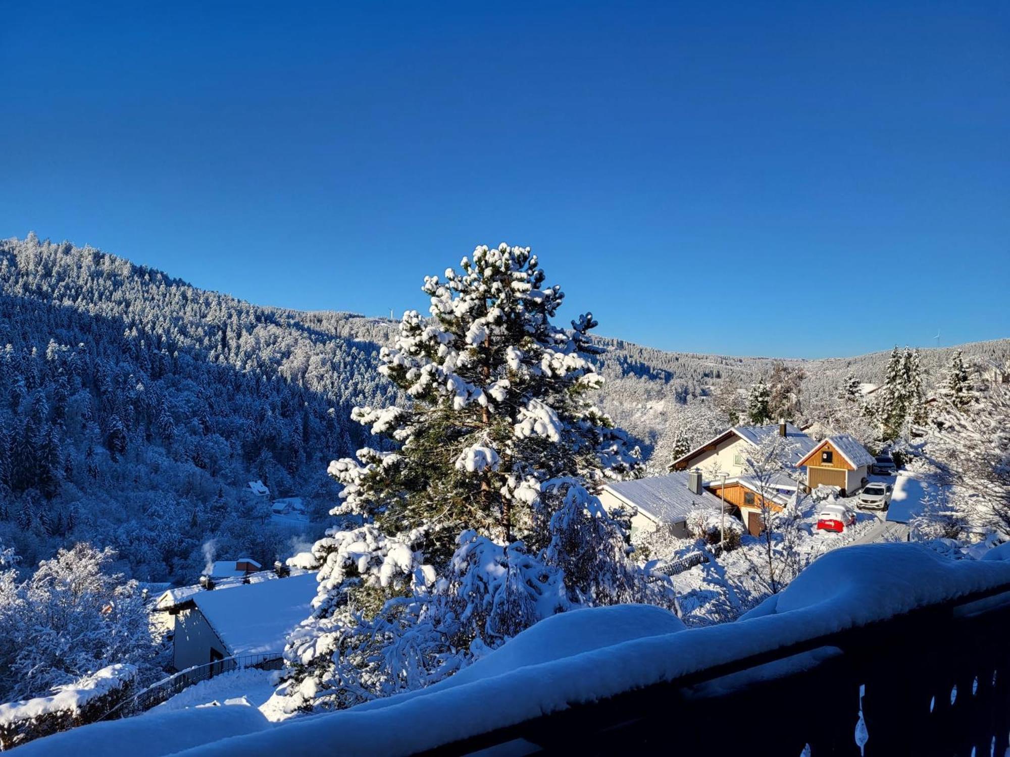 Grosse Ferienwohnung In Ruhiger Lage Mit Toller Aussicht In Triberg Triberg im Schwarzwald Zewnętrze zdjęcie