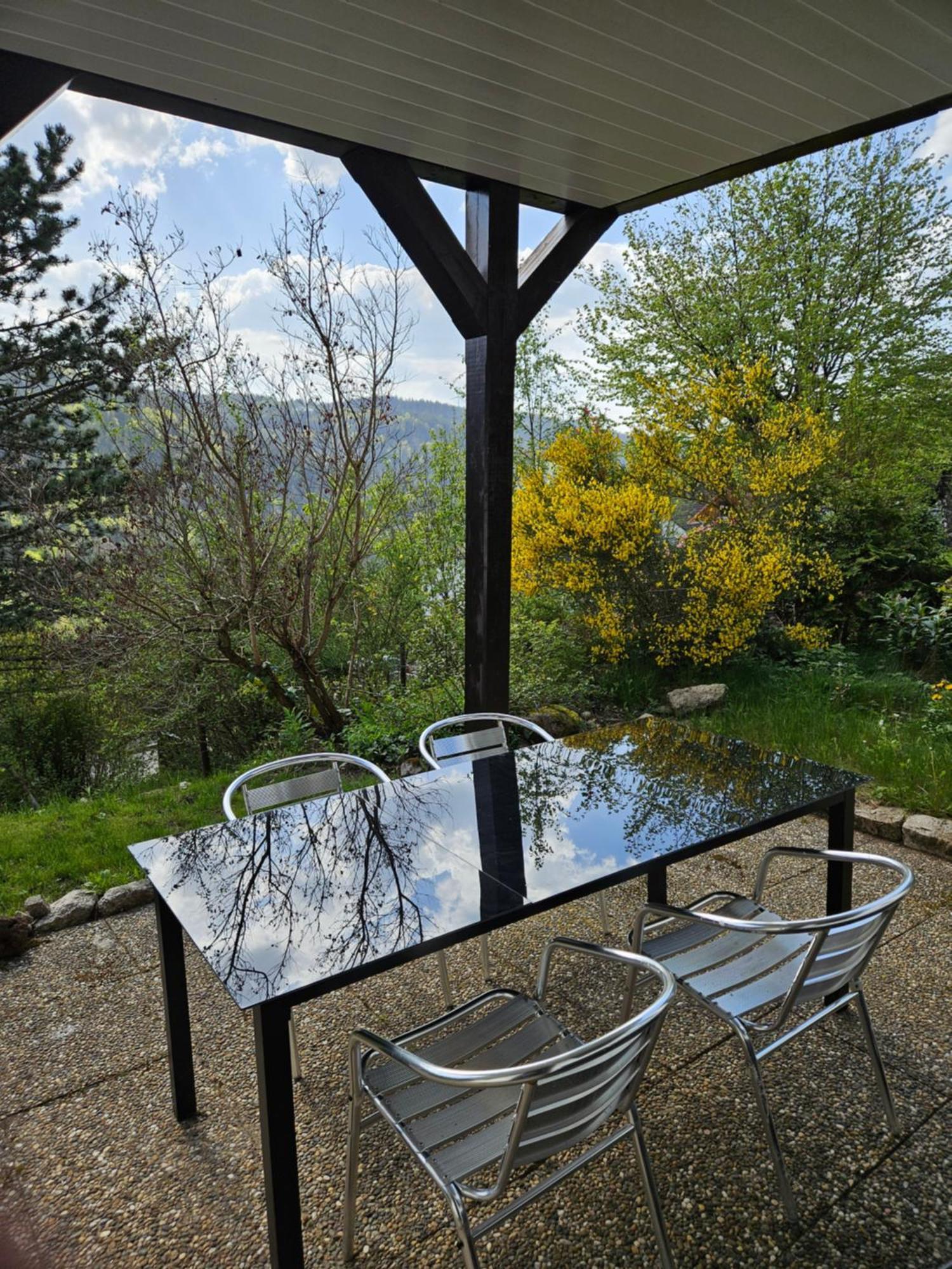 Grosse Ferienwohnung In Ruhiger Lage Mit Toller Aussicht In Triberg Triberg im Schwarzwald Zewnętrze zdjęcie
